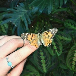 Meet your Posher, Mary